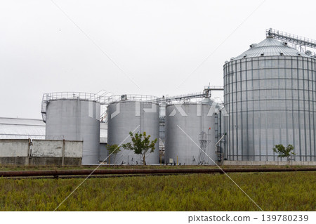 Grain storage silos are located in a field with a building nearby under cloudy skies. The area shows no signs of activity Grain storage silos are located in a field with a building nearby under cloudy skies. The area shows no signs of activity 139780239