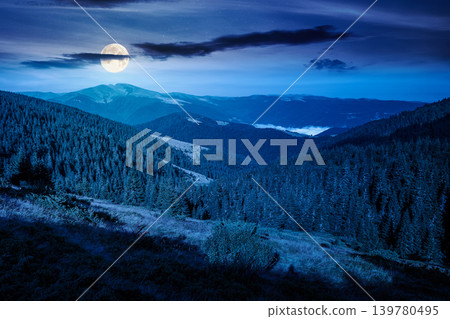 landscape with coniferous forest behind the meadow at night. full moon over nature background with carpathian mountains of ukraine. mysterious view of transcarpathia alpine woodland landscape with coniferous forest behind the meadow at night. full moon over nature background with carpathian mountains of ukraine. mysterious view of transcarpathia alpine woodland 139780495