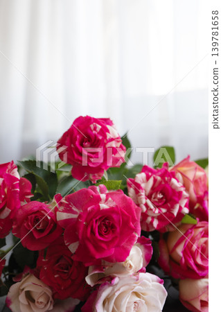 Beautiful Rose Bouquet with Flowing Curtains in Background with Copy Space Beautiful Rose Bouquet with Flowing Curtains in Background with Copy Space 139781658