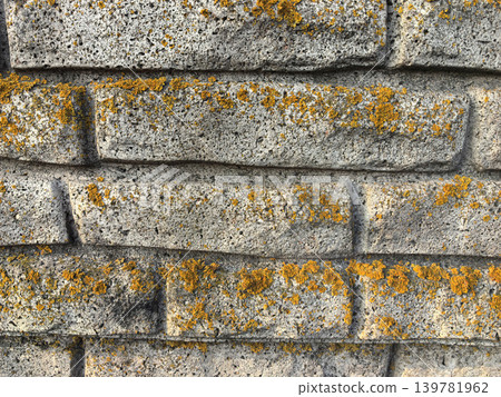 Unique texture of a weathered stone wall adorned with vibrant moss Unique texture of a weathered stone wall adorned with vibrant moss 139781962