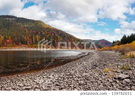 Calm lake with low water - round stones at shore visible, autumn coloured coniferous trees on other side, blue sky above Calm lake with low water - round stones at shore visible, autumn coloured coniferous trees on other side, blue sky above 139782031