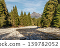 Forest river Bela with small round stones and coniferous trees on both sides, sunny day, Krivan peak - Slovak symbol - in distance 139782052