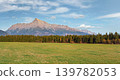 Wide high resolution panorama of green meadow with small forest and mount Krivan peak - Slovak symbol - in distance, blue sky above 139782053