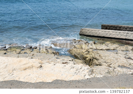 A view of the sea from Inamuragasaki in Kamakura City. 139782137