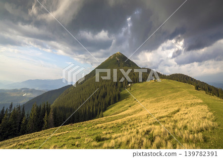 Panoramic view of green grassy valley, pine trees and rural small peasant huts at foot of distant woody mountain under dark blue cloudy sky before thunderstorm. Beauty of nature, tourism, traveling. 139782391