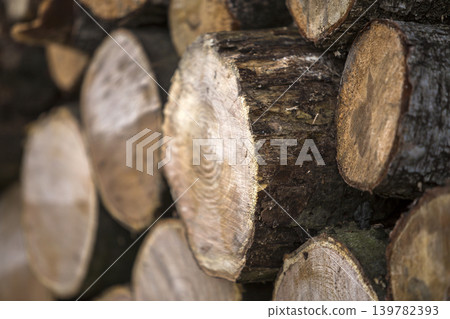 Neatly piled stack of chopped trunks outdoors on bright sunny day, abstract background, Fire wood logs prepared for winter, ready for burning. Environment protection concept. Neatly piled stack of chopped trunks outdoors on bright sunny day, abstract background, Fire wood logs prepared for winter, ready for burning. Environment protection concept. 139782393