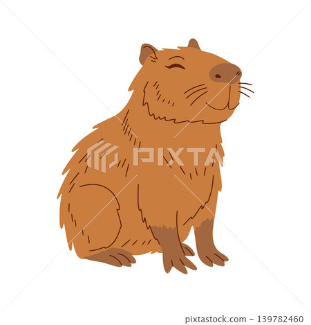 Capybara sitting with content happy expression Capybara sitting with content happy expression 139782460