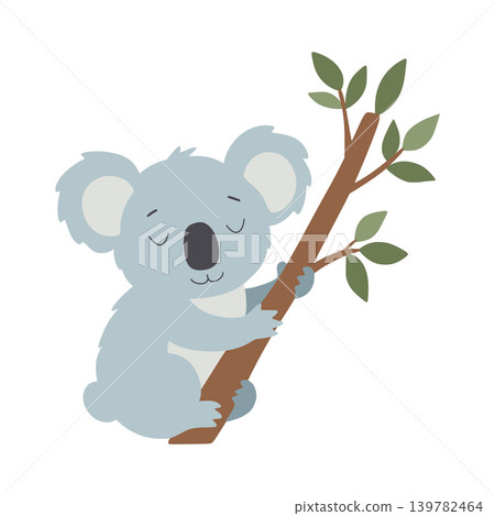 Cute koala sleeping on eucalyptus tree branch Cute koala sleeping on eucalyptus tree branch 139782464