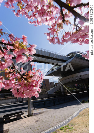 Chiba Urban Monorail Kencho-mae Station and Miyakogawa Park adorned with Kawazu cherry blossoms in spring. Chiba Urban Monorail Kencho-mae Station and Miyakogawa Park adorned with Kawazu cherry blossoms in spring. 139782543