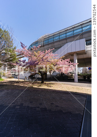 Chiba Urban Monorail Kencho-mae Station and Miyakogawa Park adorned with Kawazu cherry blossoms in spring. 139782544