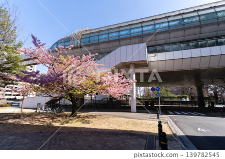 Chiba Urban Monorail Kencho-mae Station and Miyakogawa Park adorned with Kawazu cherry blossoms in spring. 139782545