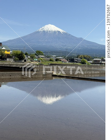 Eighty-eighth night, rice fields and Mount Fuji 139782667