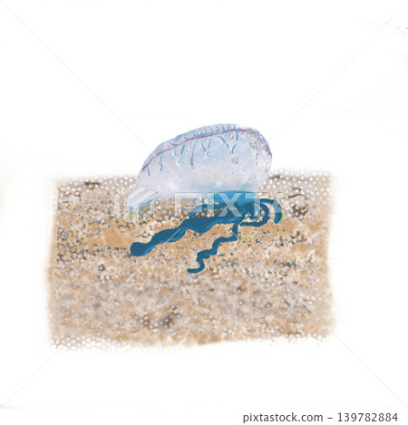 An illustration of a Portuguese man-of-war that has washed ashore on a beach. An illustration of a Portuguese man-of-war that has washed ashore on a beach. 139782884