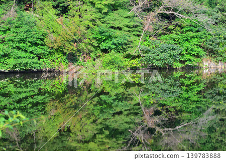 埼玉縣吉見町八丈湖,湖面倒映著湖光山色 埼玉縣吉見町八丈湖,湖面倒映著湖光山色 139783888
