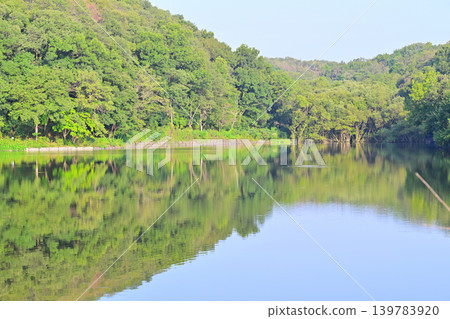 埼玉縣吉見町八丈湖,湖面倒映著湖光山色 埼玉縣吉見町八丈湖,湖面倒映著湖光山色 139783920