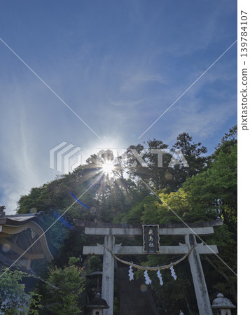 Divine light shines from the sacred grove of Asuka-ni-imasu Shrine in early summer. 139784107