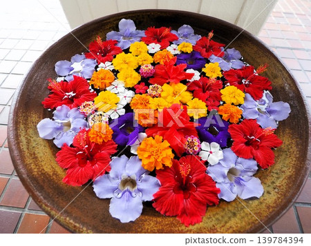 Flowers at Miyakojima Tokyu Hotel & Resorts 139784394