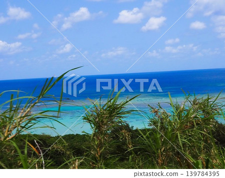 在宮古島新莊海灘浮潛 在宮古島新莊海灘浮潛 139784395