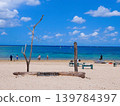 在海龜棲息的新莊海灘浮潛。 139784397