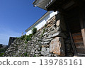 Hamamatsu Castle 139785161