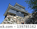 Hamamatsu Castle 139785162
