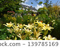 Lake Hamana Garden Park Flower Museum 139785169