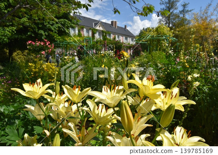 Lake Hamana Garden Park Flower Museum Lake Hamana Garden Park Flower Museum 139785169
