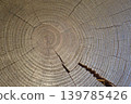 Close-up background texture of log rings 139785426