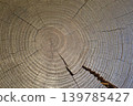 Close-up background image of cracked log rings. 139785427