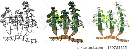 A set of stylized illustrations of Calamites from the Carboniferous period. 139785515