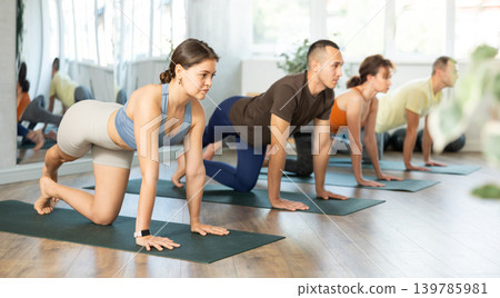 Lovers of active lifestyle on yoga mat perform doing Eka Pada Hasta Marjariasana in gym Lovers of active lifestyle on yoga mat perform doing Eka Pada Hasta Marjariasana in gym 139785981