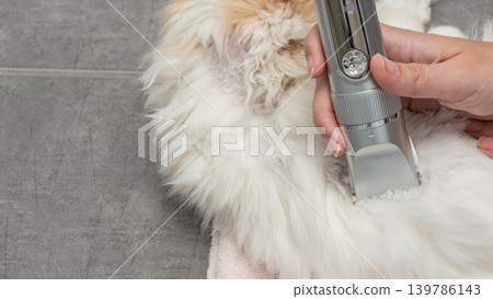 Cat grooming process with a close-up of a fluffy feline being trimmed with a silver grooming tool on a soft towel in a clean indoor setting Cat grooming process with a close-up of a fluffy feline being trimmed with a silver grooming tool on a soft towel in a clean indoor setting 139786143