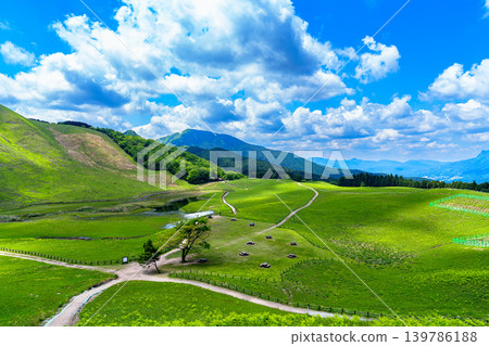 索尼高原初夏：從通往龜山峠的健行步道中部眺望高原，雲朵在岡龜池對面的開闊地帶投下陰影。 139786188