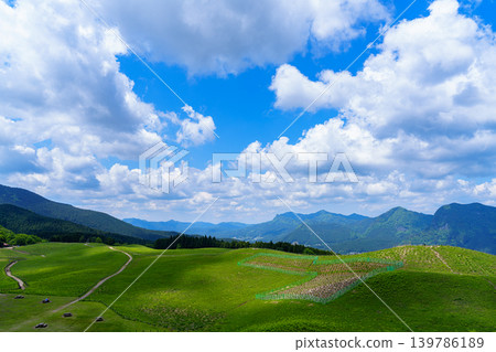 索尼高原初夏：從通往龜山峠的健行步道中部眺望高原，雲朵在天空和高原上蔓延開來，呈現出漸變的色彩。 139786189