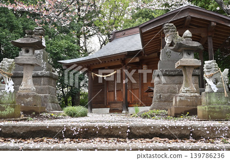 岩槻漫步：鷲宮神社－正殿 139786236