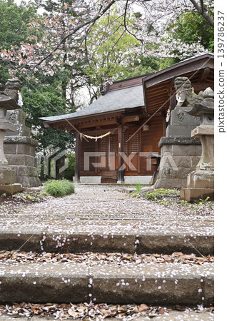 岩槻漫步：鷲宮神社－正殿 139786237