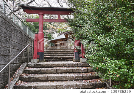 岩槻漫步:鷲宮神社-正殿 岩槻漫步:鷲宮神社-正殿 139786239