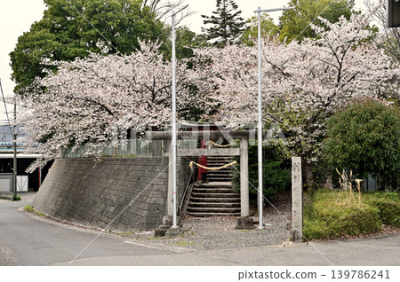 岩槻市漫步:鷲宮神社 - 神社界碑/石鳥居 岩槻市漫步:鷲宮神社 - 神社界碑/石鳥居 139786241