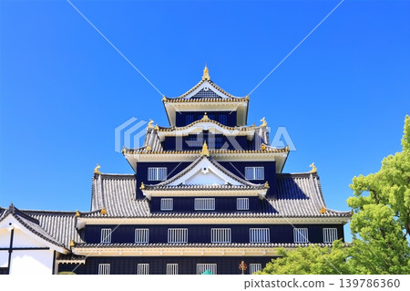 【岡山縣】春季岡山城(春季鳥場燈籠節) 【岡山縣】春季岡山城(春季鳥場燈籠節) 139786360