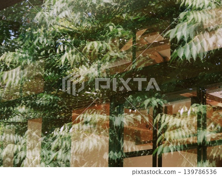 The fresh greenery and the geometric patterns of the wooden architecture are reflected in the windowpane. The fresh greenery and the geometric patterns of the wooden architecture are reflected in the windowpane. 139786536