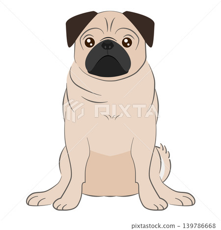 A sitting pug (fawn) A sitting pug (fawn) 139786668