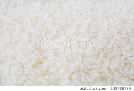 海努基白米特寫 海努基白米特寫 139786729