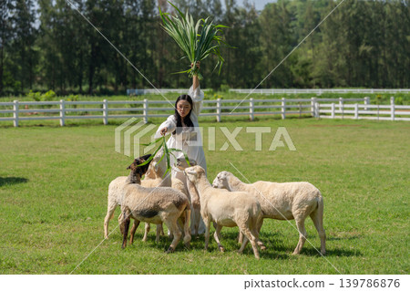 woman feeding a tree branch to the sheep on grass field 139786876