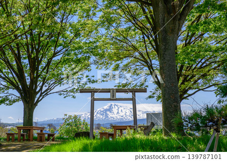 In the lush green of spring, a magnificent view of Mount Chokai seen through a large zelkova tree and a torii gate is available in Akita Prefecture. In the lush green of spring, a magnificent view of Mount Chokai seen through a large zelkova tree and a torii gate is available in Akita Prefecture. 139787101