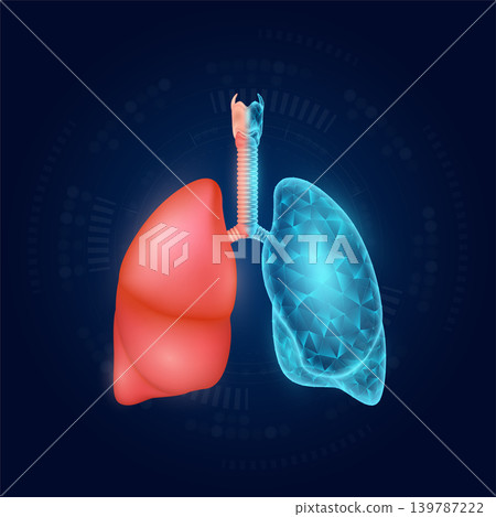 Lung realistic shape model with translucent polygon on dark blue background. Medical science technology. Vector EPS10. Lung realistic shape model with translucent polygon on dark blue background. Medical science technology. Vector EPS10. 139787222