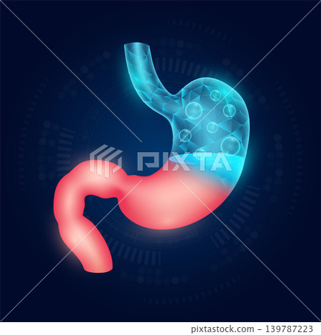 Stomach realistic shape model with translucent polygon on dark blue background. Medical science technology. Vector EPS10. Stomach realistic shape model with translucent polygon on dark blue background. Medical science technology. Vector EPS10. 139787223