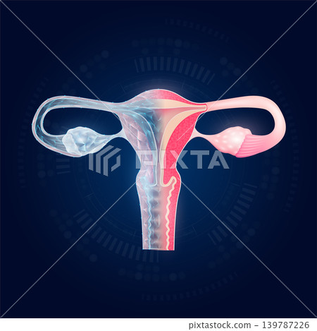Uterus realistic shape model with translucent polygon on dark blue background. Medical science technology. Vector EPS10. Uterus realistic shape model with translucent polygon on dark blue background. Medical science technology. Vector EPS10. 139787226