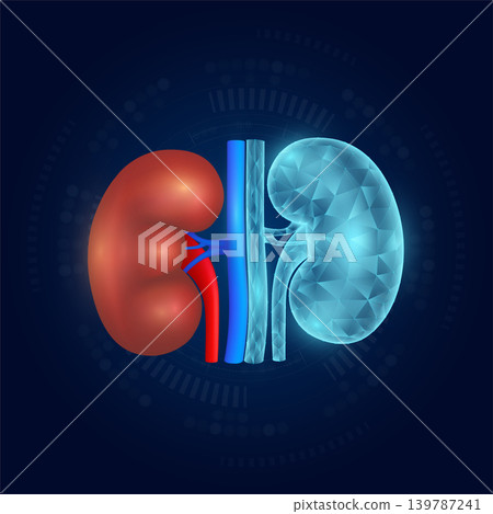 Heart realistic shape model with translucent polygon on dark blue background. Medical science technology. Vector EPS10. Heart realistic shape model with translucent polygon on dark blue background. Medical science technology. Vector EPS10. 139787241