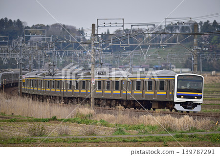 總武本線，櫻之物，JR東日本，209系，C621編組（幕張） 139787291