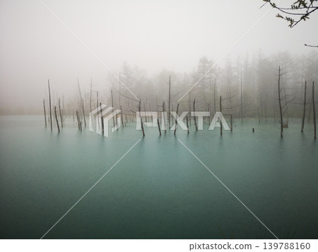 北海道美瑛町白金藍池景觀 139788160